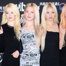 아이맵시 이미지