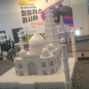 미니어처 AR 랠리 < 마블러스 아시아 > | 미니어처 AR랠리 마블러스 아시아-국립광주과학관