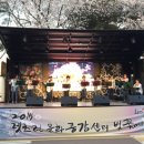 문화공연단(댄스스포츠) 이미지