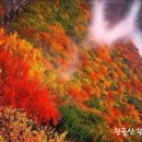 (주)뿌리