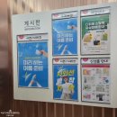 다이소 여름템 여름 물놀이 준비물 아이와 휴가 전 체크리스트