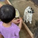 겨리농장 이미지