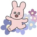 네일셀리나 이미지