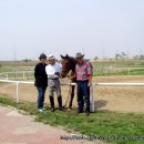 우리승마장 이미지