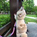 즈 이미지