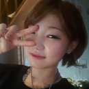 브레드플레인 이미지