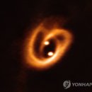 김현종농장 이미지