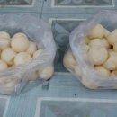 (주)거북 이미지