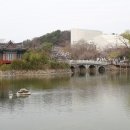 매화유도관 네이버블로그