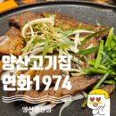 연화1974