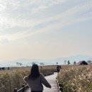 [순천만습지] 노을 + 갈대밭 + 가을여행지추천 🌾