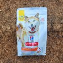 퍼펙트바이트 이미지