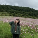 숙성도제주본점 이미지