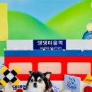 2025 순천 댕댕트레인 네이버블로그