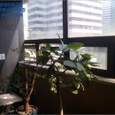 삼경 빌라 이미지