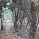 포두추어탕