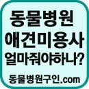 애견미용사구인,애견미용사월급,수의사구인 이미지