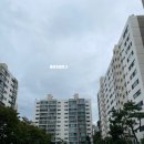 정겨운세탁소 | 강남 개포동 떡집 추천 경남식품 추석 명절 송편 구매 후기