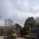 용인 A.S 정비 | 용인 파이브이모션 캠핑장, 이국적인 C존 1번 사이트 솔직후기