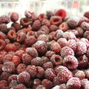 신농농장 이미지