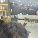 부산애견 | [부산/부산진구] 애견동반 가능, 에코쟈뎅서면점 후기