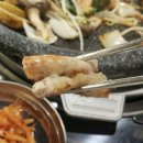 수원소꼽친구 - 화성시 효행로1039번길 14 | 수원소꼽친구