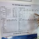 하이카자동차정비센터