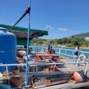 여수가족생활낚시터 이미지