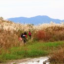 서광농장 이미지