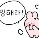 메이크업유유