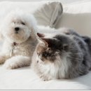 기장동물약국 이미지