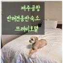 뜨레비호텔