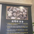 장안 | 수원 코다리찜<박은자맛사랑 장안점> 후기