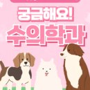 공감플러스 이미지