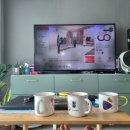 회와 멍게 친구들 이미지