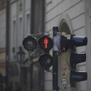 파랑청과 이미지