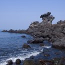 제주의 제주마 이미지