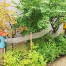 꿈사랑유치원 이미지