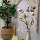 유유한가 이미지