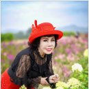 대장농원 이미지