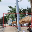 경남 노지 차박 캠핑 이보다 더 좋을순 없다!! (경주 관성 솔밭 해변)