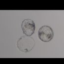 세화병원 이미지