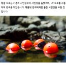 야기피싱