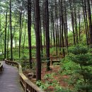 자연휴양림 입구 이미지