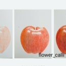 색연필 일러스트 & 보타니컬 아트 이미지