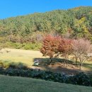 WG 스포츠파크 고성9홀 이미지