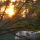 서해안농장 이미지