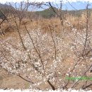 함초롬농원 이미지