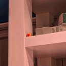 상상의거리 | 성수 요즘 제일 핫한 전시회 “문도 픽사, 상상의 세계” 평일 후기와 꿀팁