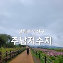 주남저수지 단풍나무화장실 | 10월 경남여행 : 창원 가볼만한곳 : 주남저수지 코스모스